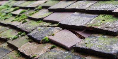 Southborough roof repair costs